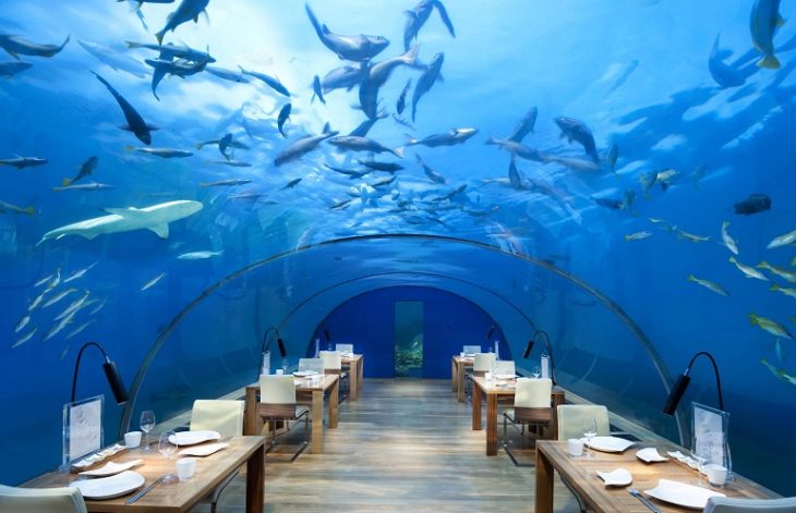 maldives restoran