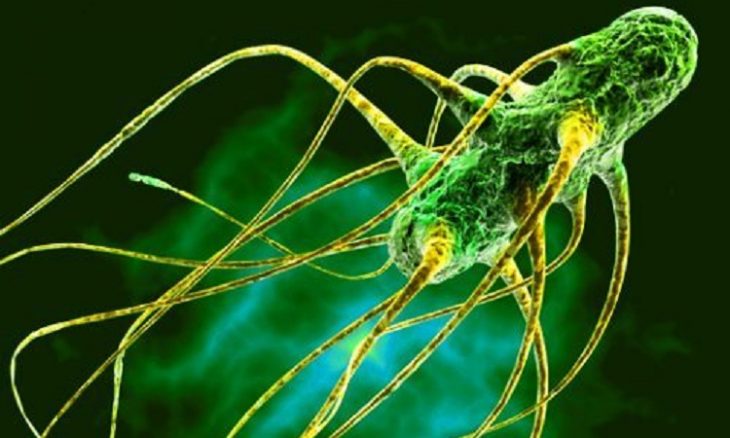 25+ смертоносных вирусов и бактерий Земли
