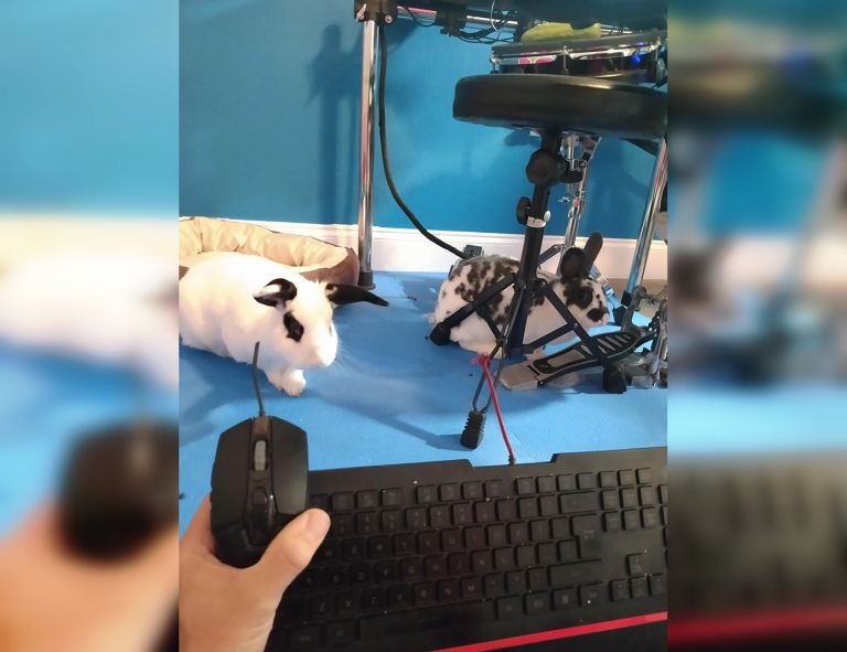 30 людей, у которых сегодня был не самый лучший день • Страница 30 из ...