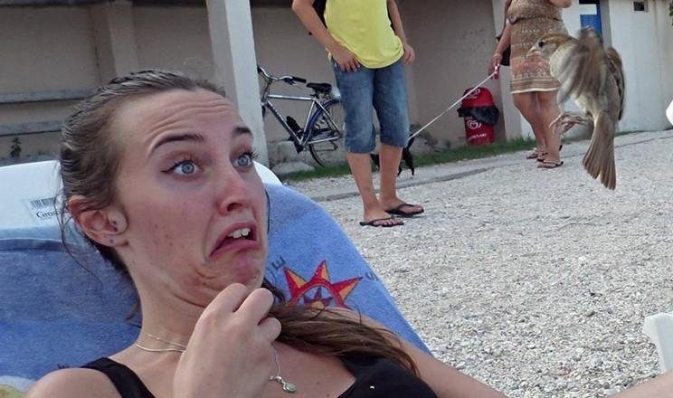 On the Verge of Disaster: Hilarious Photos Just Seconds Away
